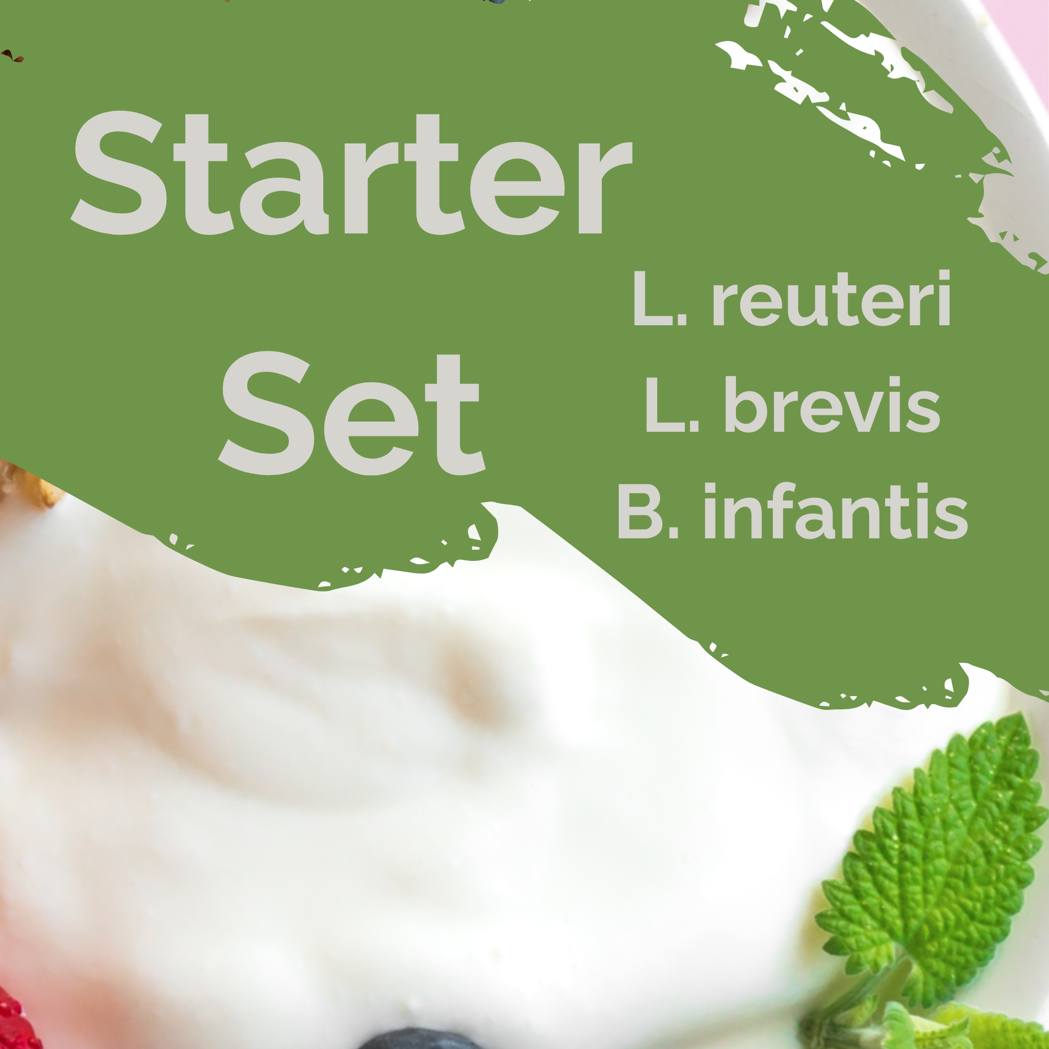 L. reuteri + L. brevis + B. infantis | Yoğurt Başlatıcı Seti | Bağırsak Beyin | Başlatıcı Kültürler | 3'lü Paket