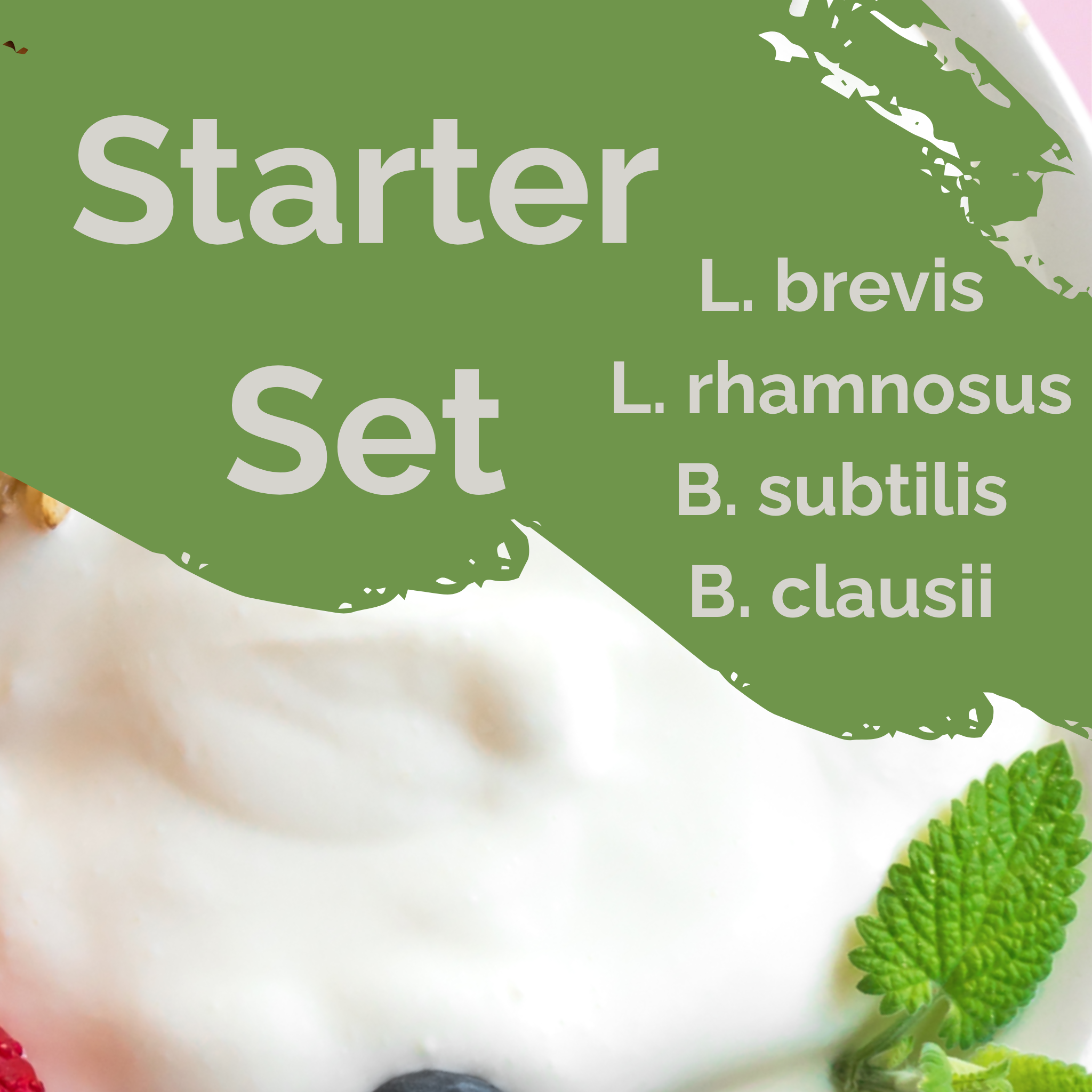 L. brevis + L. rhamnosus + B. subtilis + B. clausii | Yoğurt Başlatıcı Seti | Bağırsak Koruyucu | Başlatıcı Kültürler | 3'lü Paket