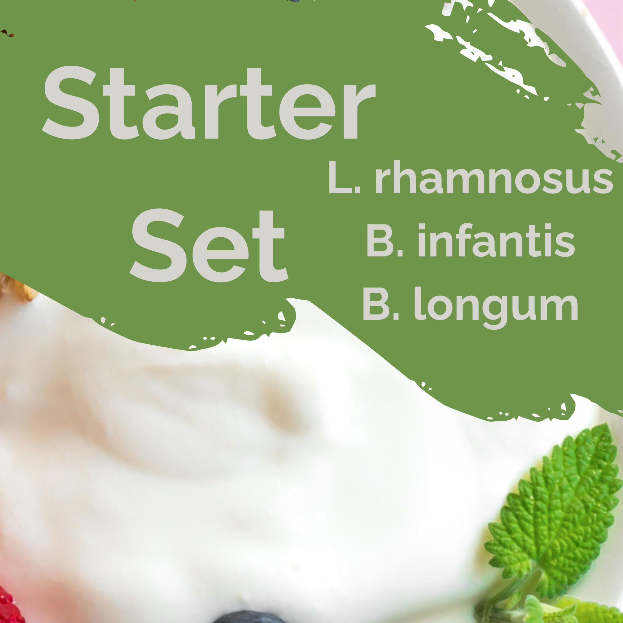 L. rhamnosus + B. infantis + B. longum | Yoğurt Başlatıcı Seti | Bağırsak Dengesi | Başlatıcı Kültürler | 3'lü Paket